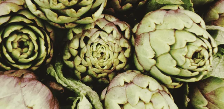 Mogu li psi jesti artičoke?