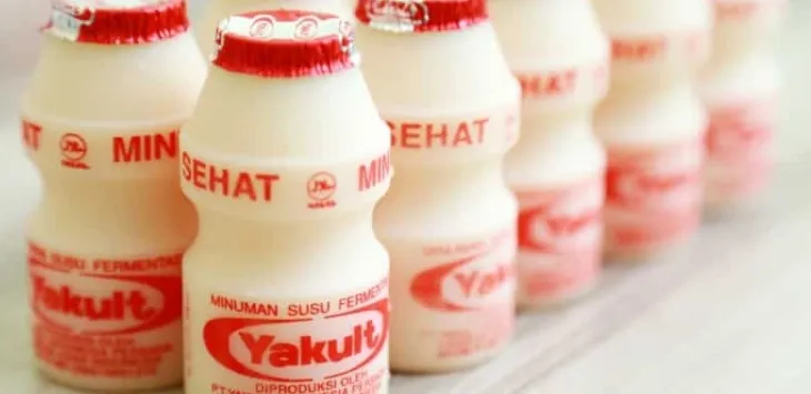 Voivatko koirat juoda Yakultia?