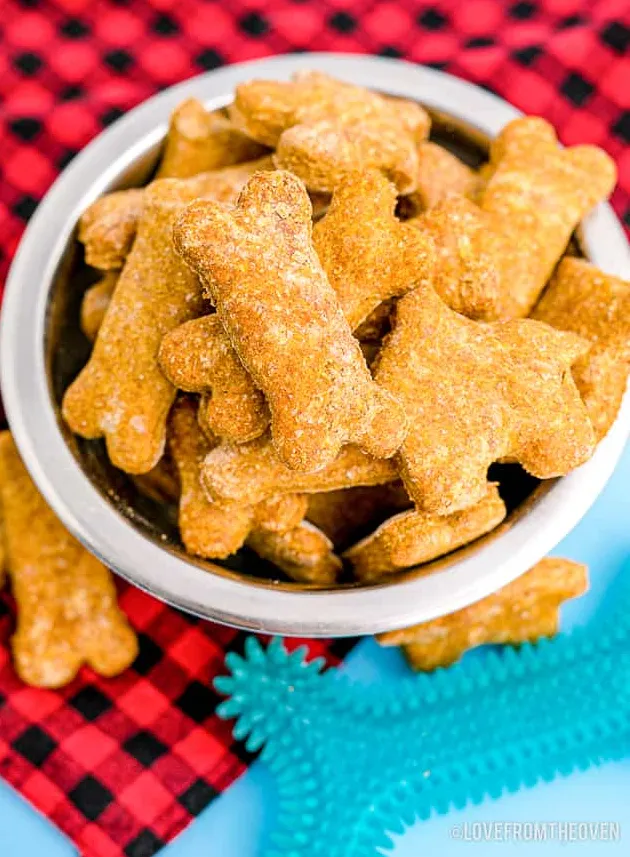 Dyniowe przysmaki dla psów