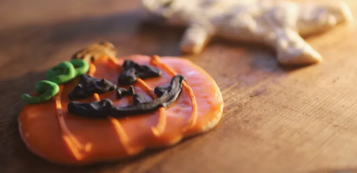 Przewodnik po przepisach na przysmaki z dyni dla psów