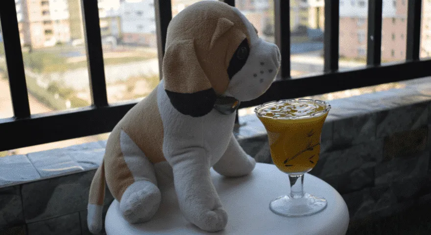 Wie Sie Mango für Ihren Hund zubereiten sollten