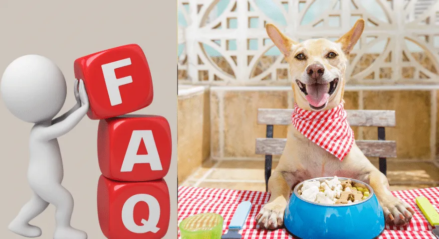 Bieži uzdotie jautājumi par sabalansētu maltīšu gatavošanu suņiem
