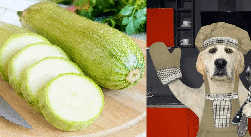 Tilbered squash til hunden din