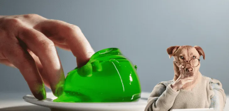 Czy psy mogą jeść galaretkę?