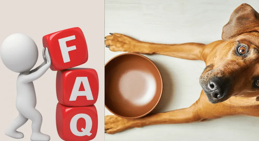 Vanliga frågor är gröna bönor bra för hundar