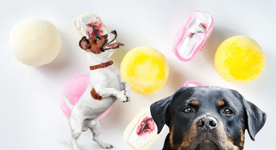 czy mochi jest bezpieczne dla psów