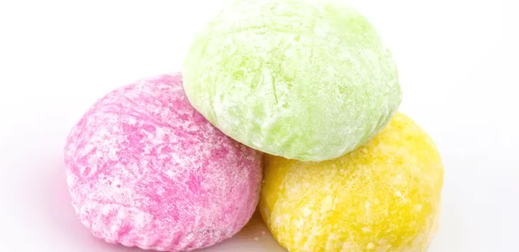 Ar šunys gali valgyti Mochi: paprasta tiesa visiems šunų savininkams