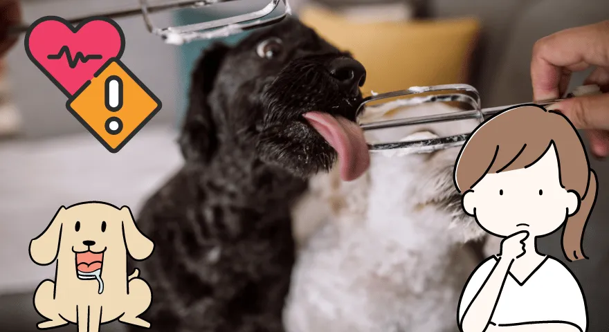 Czy bita śmietana jest szkodliwa dla psów