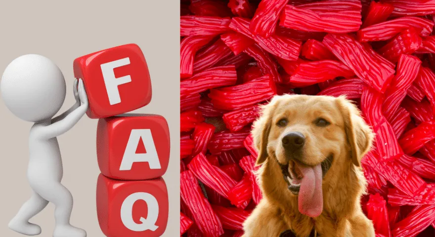 Ar šunys gali valgyti „Twizzlers“.