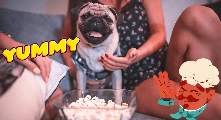 Czy psy mogą jeść popcorn