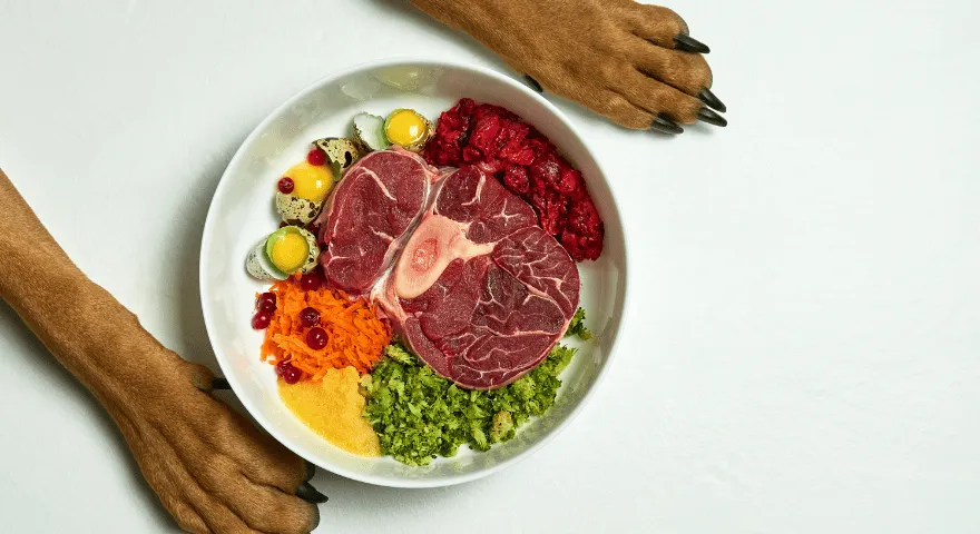 Billiga råvaror för hundar