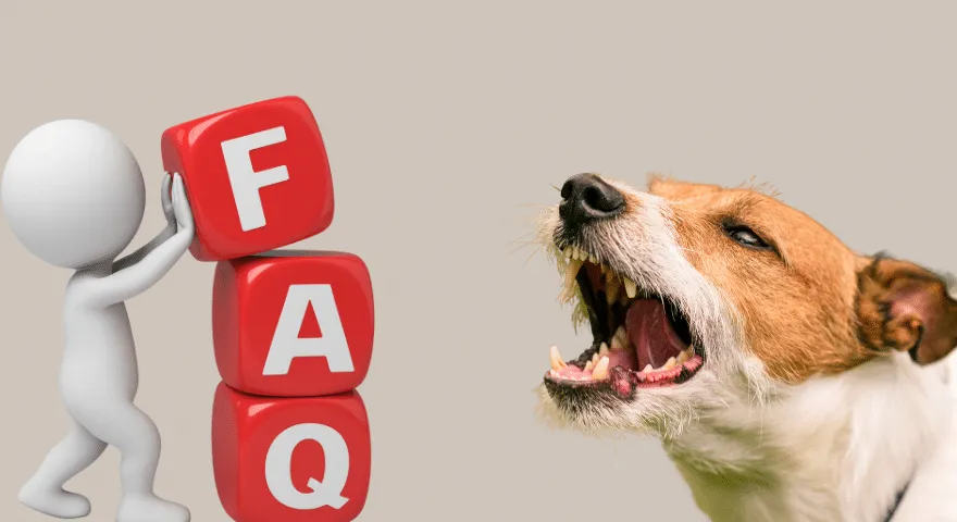 Je kuskus bezpečný pre psov