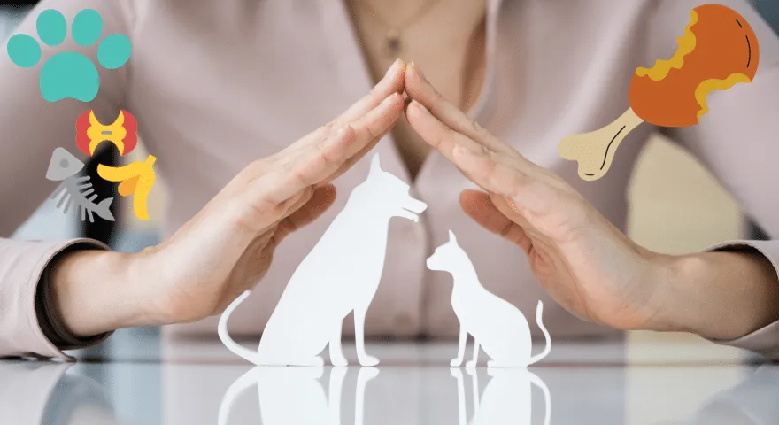 Zagrożenia dla zdrowia wynikające z karmienia przeterminowaną karmą dla psów