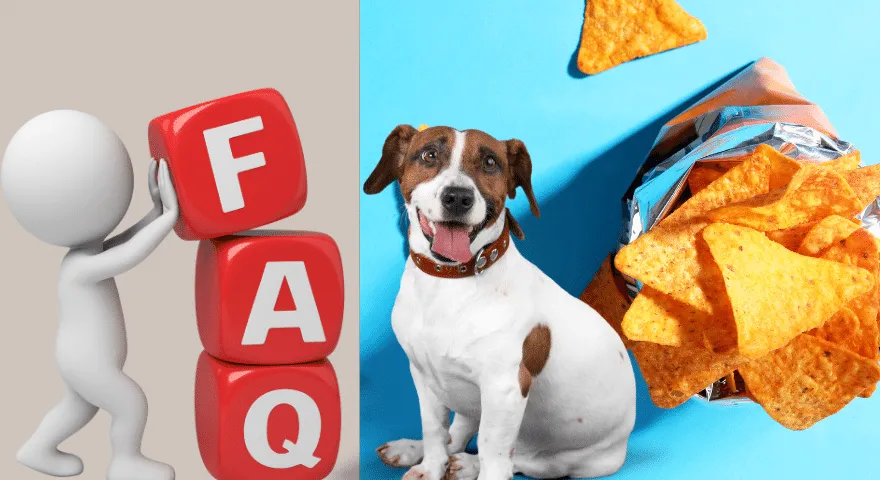 Często zadawane pytania: Pies zjada Doritos