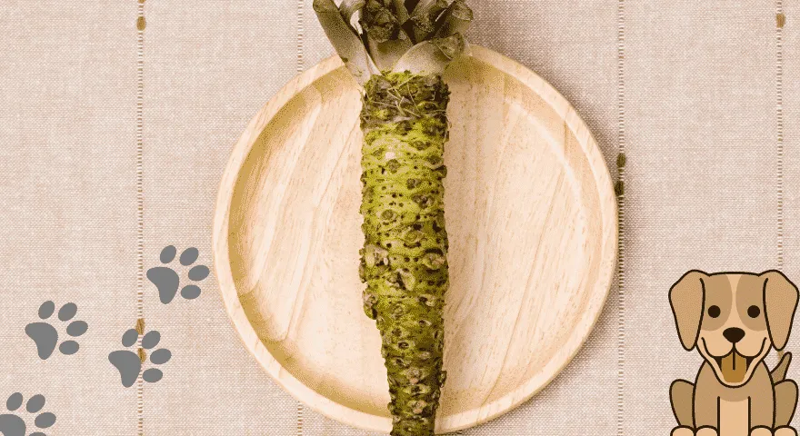 Teie koer on tarbinud Wasabi