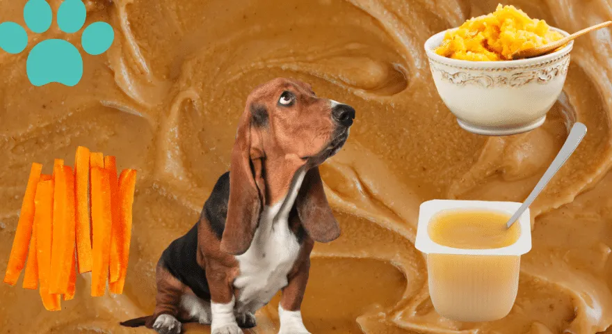 Barojošas alternatīvas zemesriekstu sviestam suņiem