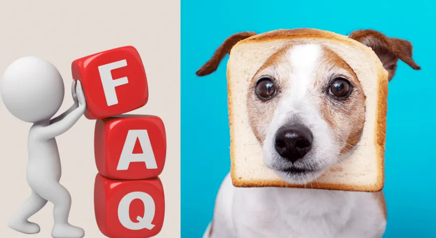 Usein kysytyt kysymykset, jotka liittyvät koiriin voivat syödä leipää
