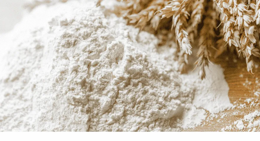 brunt rismjöl hundar