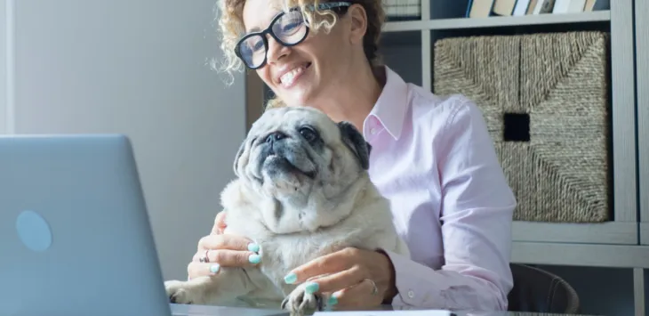 Jak utrzymać psa aktywnego w pracy