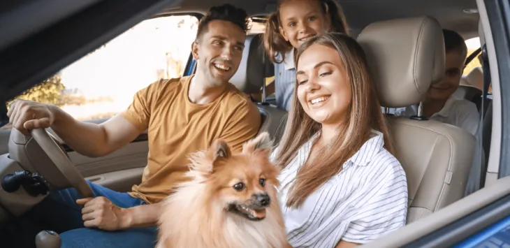 Βασικές συμβουλές για το πώς να εκπαιδεύσετε τον σκύλο σας για οδικό ταξίδι