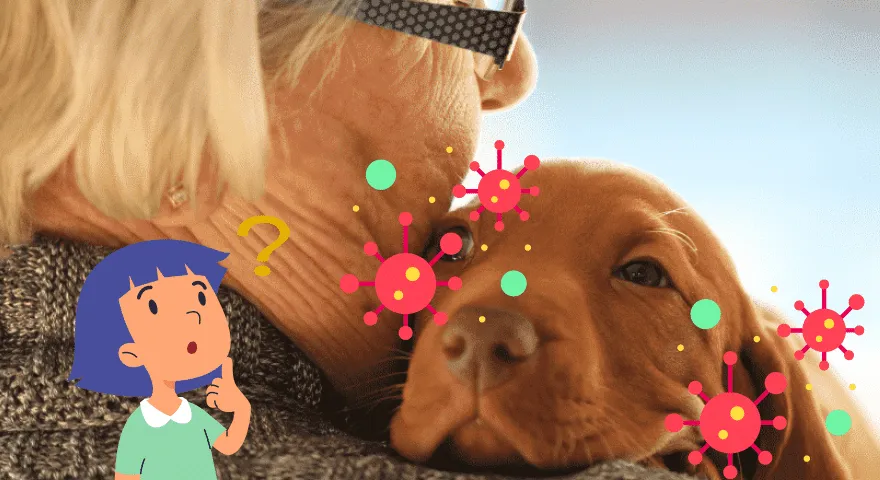 Psy chorują od człowieka