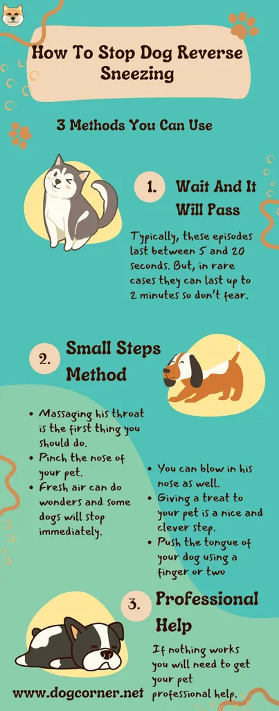 Jak powstrzymać psa odwrotnego kichania