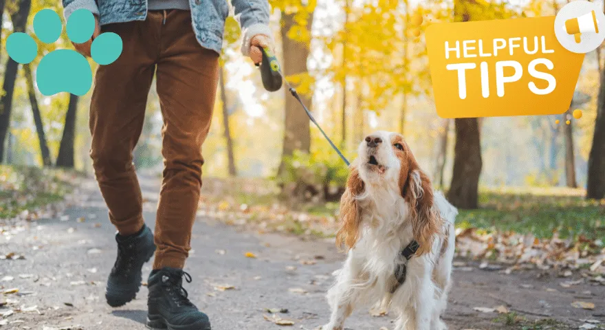 Szkolenia i polecenia dotyczące bezpieczeństwa na zewnątrz