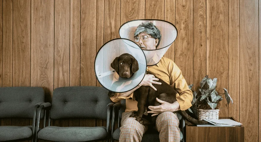 Kiedy zdjąć rożek psu