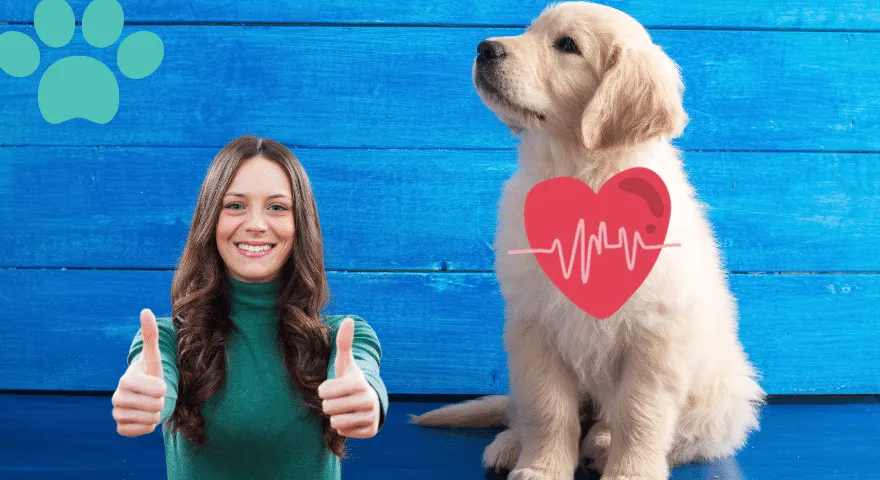 Regelmäßige Tierarztuntersuchungen für Welpen