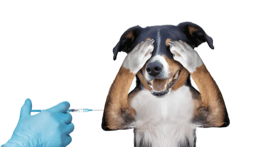 możliwe skutki uboczne szczepionki