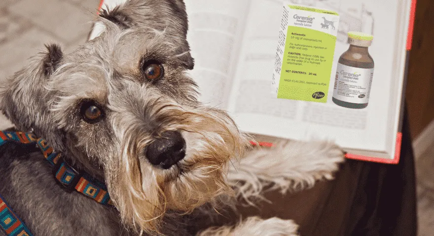 Fakti par cerēnijas zālēm