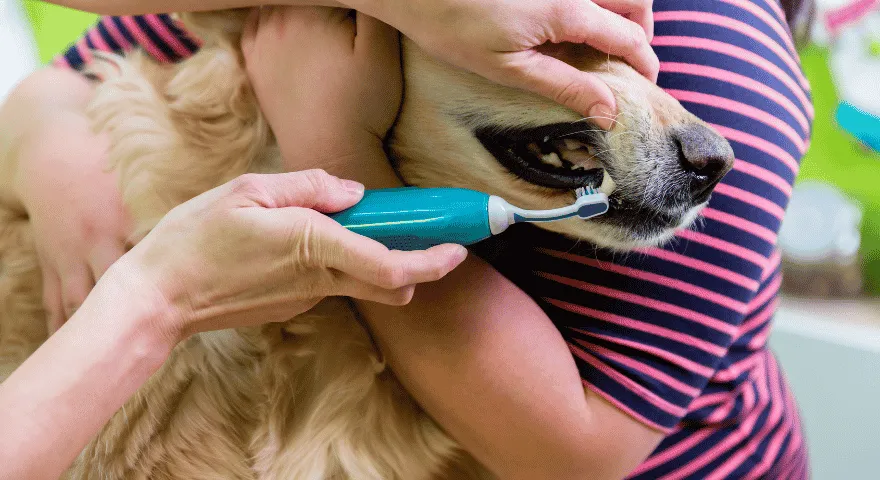 Você deve escovar os dentes antes da cirurgia
