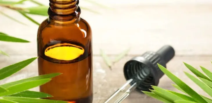 Безопасно ли е маслото от чаено дърво за кучета?