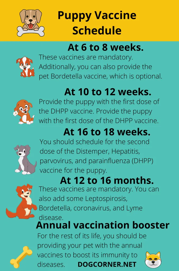 harmonogram szczepień dla szczeniąt' title='Kompletny przewodnik po harmonogramie szczepień dla szczeniąt