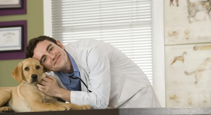 Kompletny przewodnik po harmonogramie szczepień dla szczeniąt' title='Kompletny przewodnik po harmonogramie szczepień dla szczeniąt