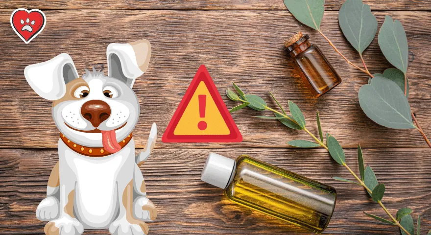 Olejek eukaliptusowy bezpieczny dla psów