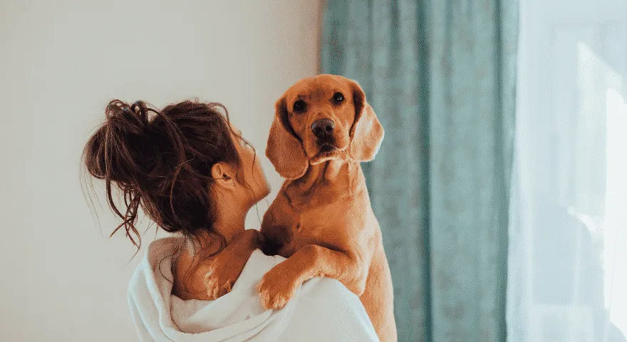 ако вашето куче има грип