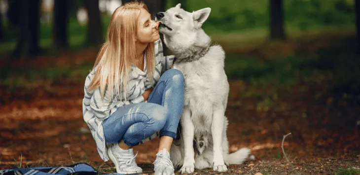 Um cachorro pode pegar gripe de um humano