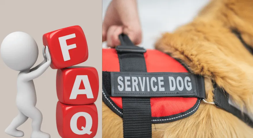 Rola psów służbowych w zdrowiu psychicznym – często zadawane pytania' title='Rola psów służbowych w zdrowiu psychicznym