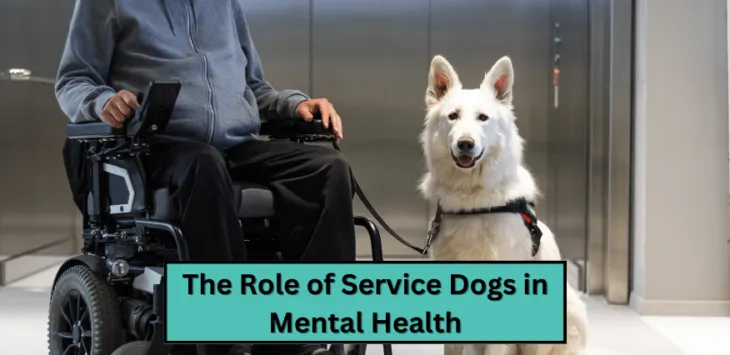 Rola psów służbowych w zdrowiu psychicznym