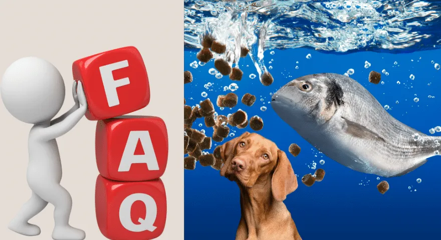 Czy karma dla ryb jest toksyczna dla psów?