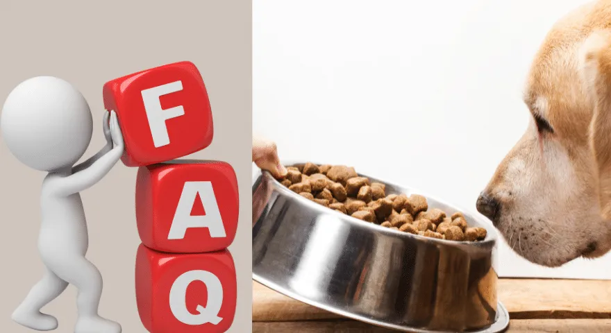 Oznaki, że Twój pies może mieć alergię pokarmową