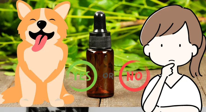 Biztonságos-e a neemolaj kutyák számára