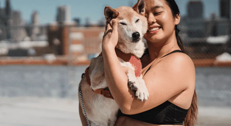 יתרונות לבריאות הנפשית של כלב