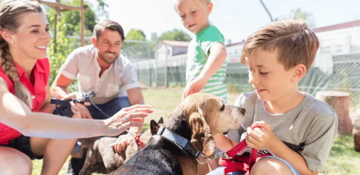 Szacowany roczny koszt posiadania psa