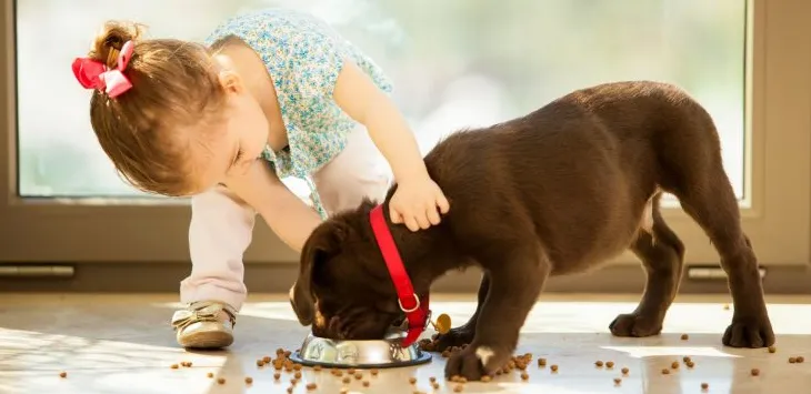 Γιατί μπορεί ένας σκύλος να είναι το ιδανικό κατοικίδιο για την οικογένειά σας;