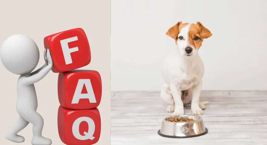 Întrebări frecvente cât timp pot rămâne câinii fără mâncare