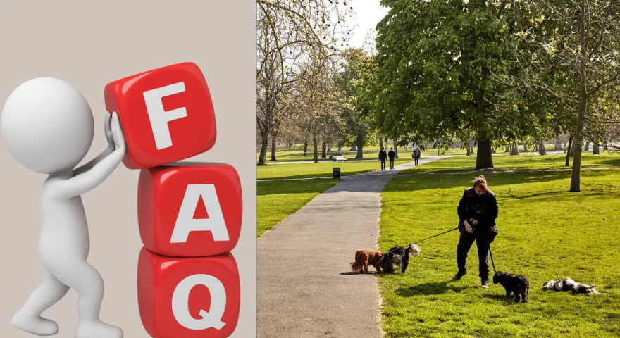 Најчешћа питања Најбољи паркови за псе у Лондону