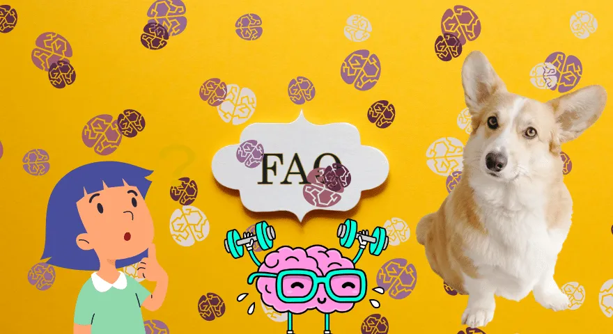 Jak długa jest pamięć psa' title='Jak długa jest pamięć psa