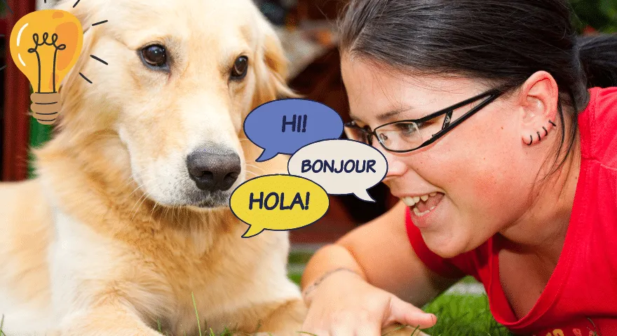 Да ли ће пси икада моћи да разговарају са нама